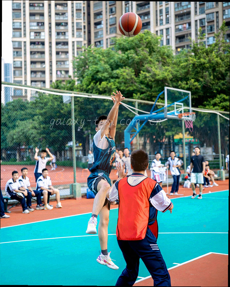 移动端在线咨询界面局部特写，无人物正脸